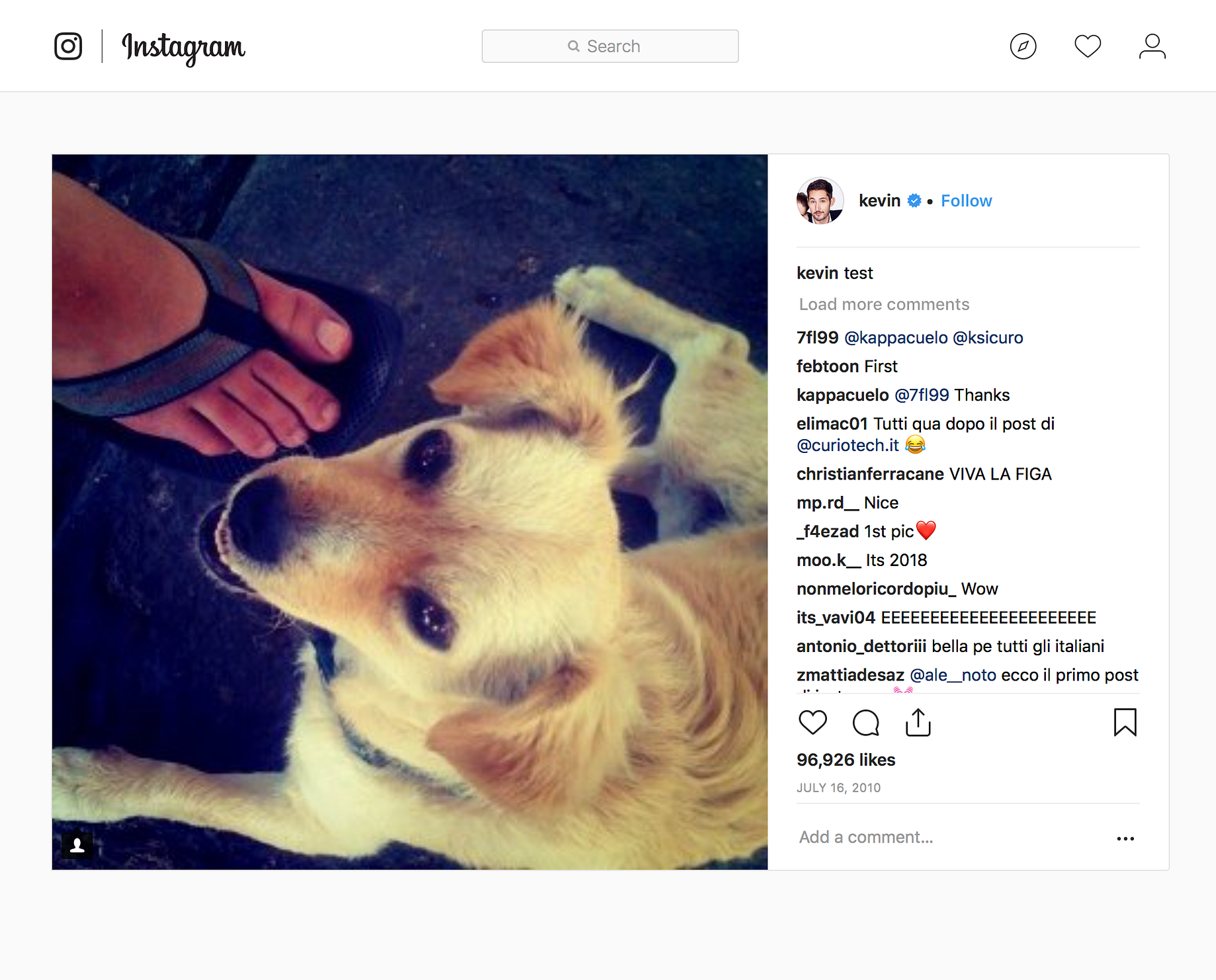ecco bella instagram