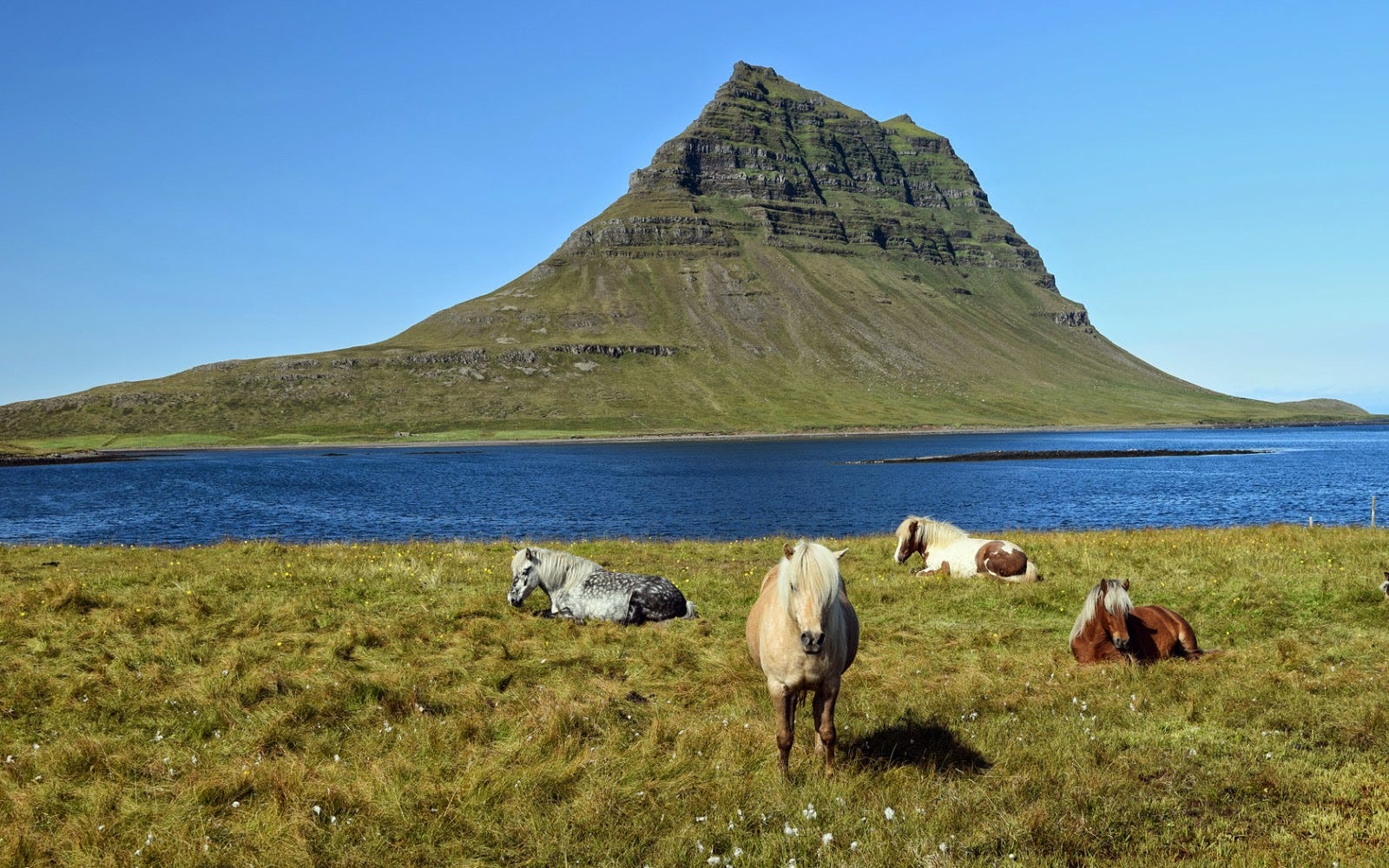 Climbing Kirkjufell Terror On An Icelandic Mini Adventure By Craig Weldon Stravaig Medium Climbing Kirkjufell Terror On An Icelandic Mini Adventure By Craig Weldon Stravaig Medium