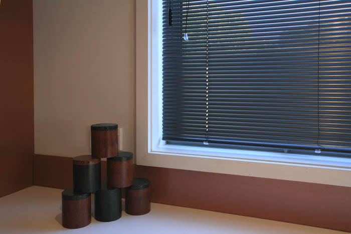 Micro Blinds Perks Nicole M Leal Medium