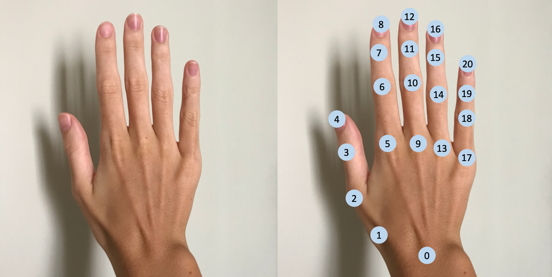 Gentle Introduction To 2d Hand Pose Estimation Approach Explained By Olga Chernytska Towards Data Science Gentle Introduction To 2d Hand Pose Estimation Approach Explained By Olga Chernytska Towards Data Science