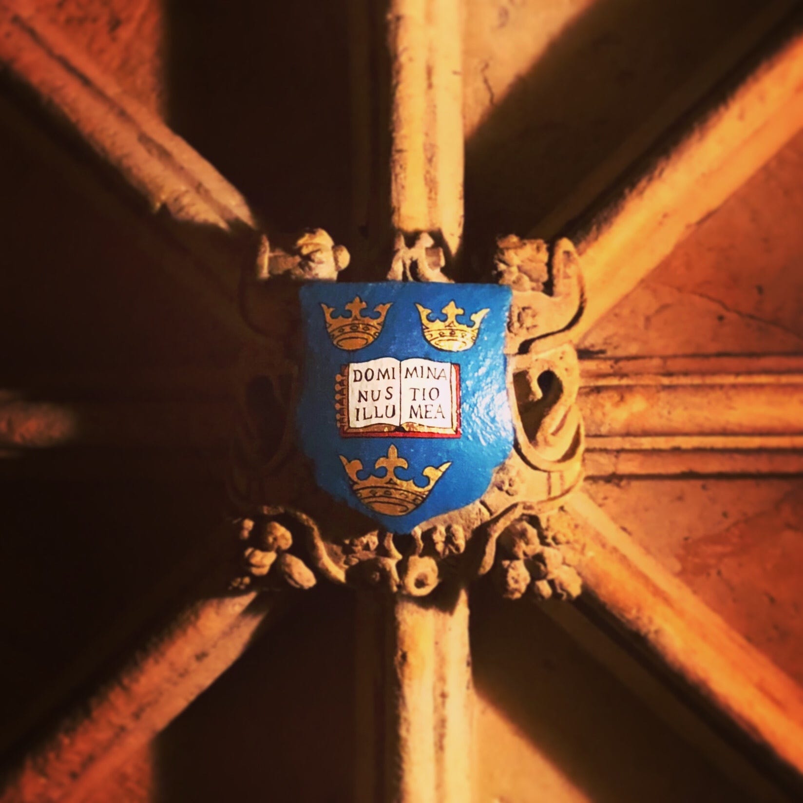 The University Of Full Catastrophe Learning By Zaid Hassan Dec 2020 Medium