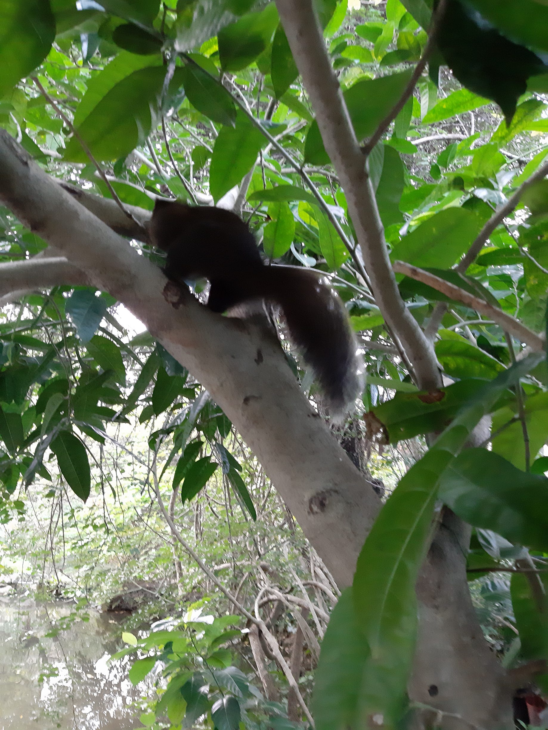 在滅絕之前 為植物建造續命方舟 上 本文於19 8首刊於 端傳媒 By 植人雜志between Nature And Artificiality Medium