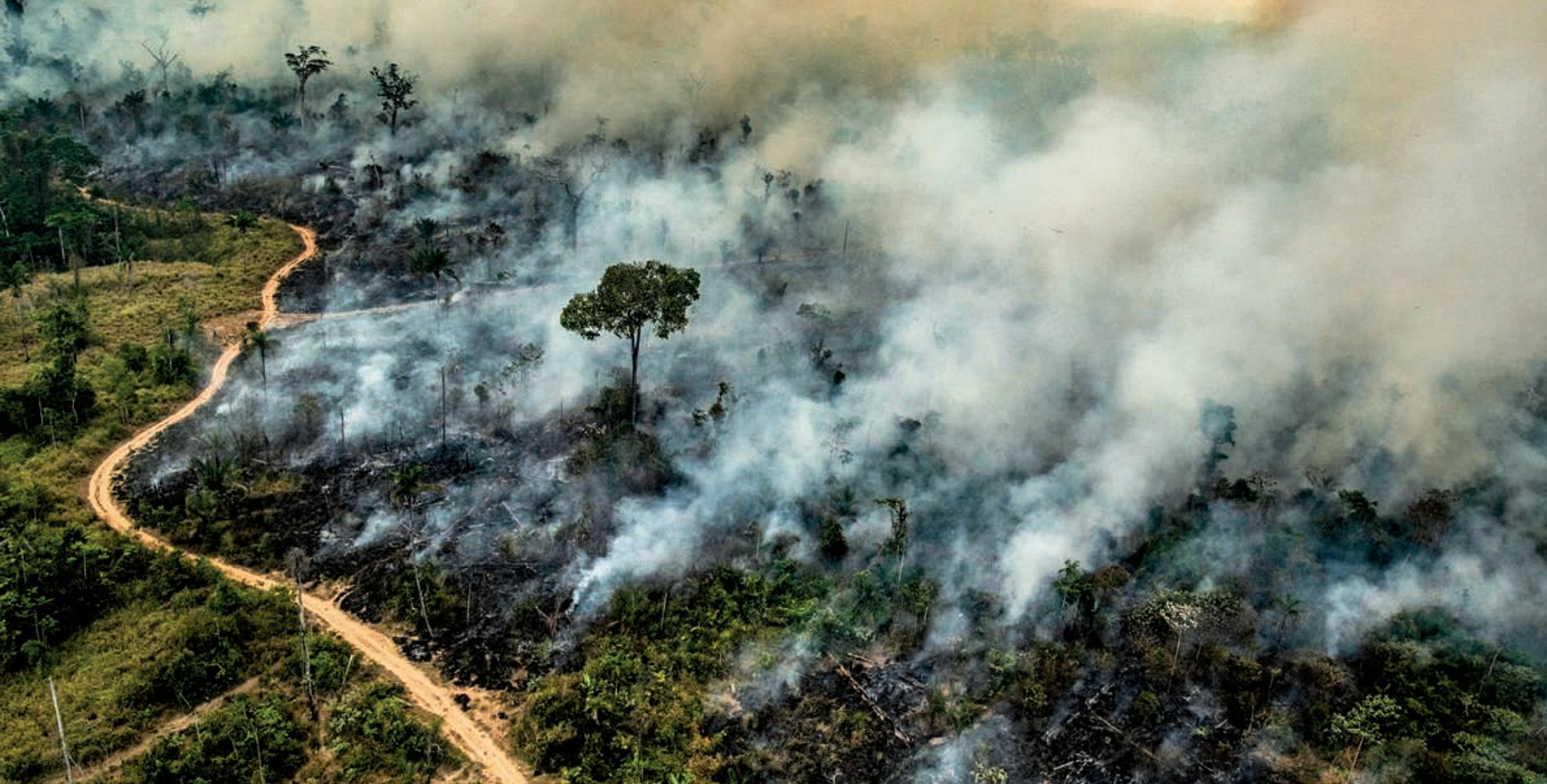 An Analysis Of Amazonian Forest Fires By Matthew Stewart Towards Data Science