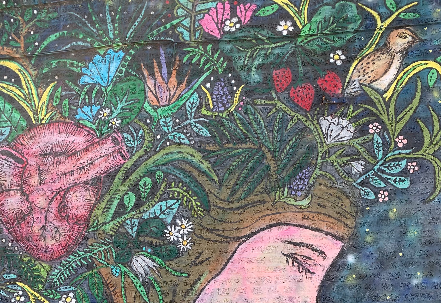 Meredith Franco Meyers Medium