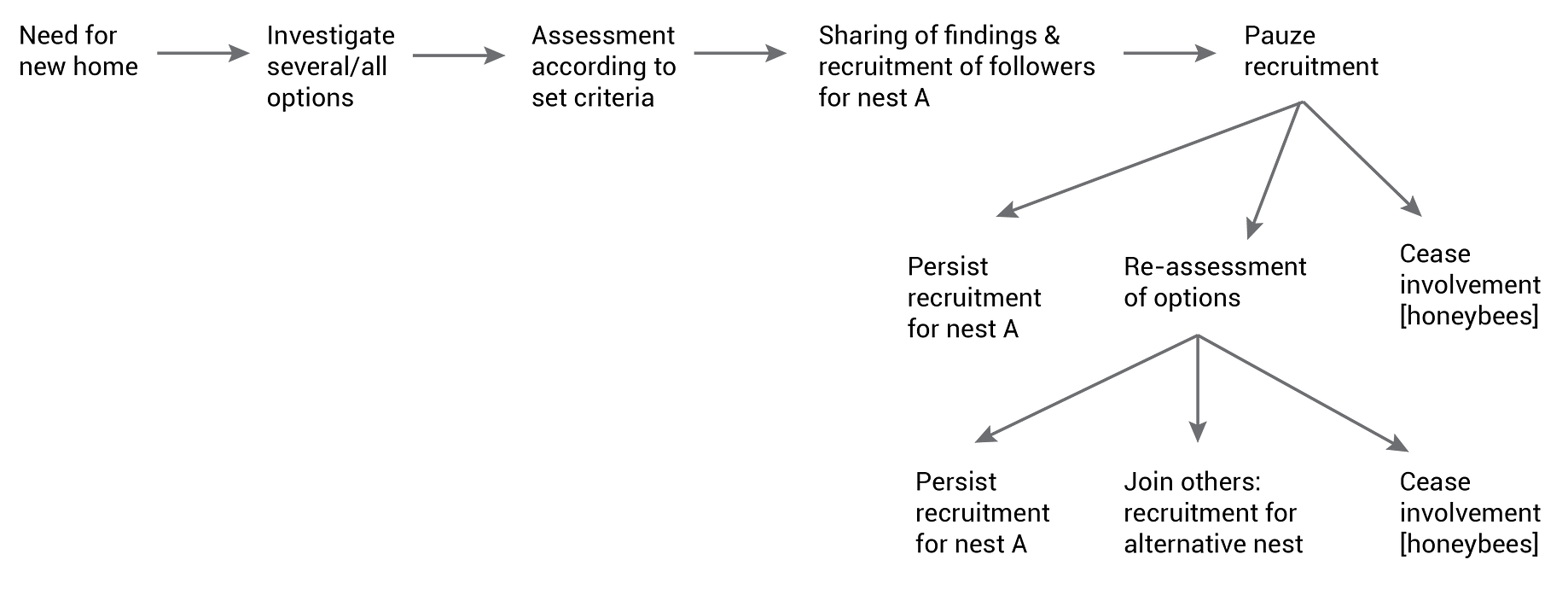 Simple Rules To Gather Information Quickly By Daphne Fecheyr How Nature Says It Medium