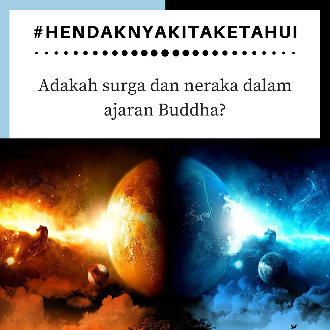 Apakah Para Bhikkhu Dan Umat Buddha Harus Menjadi Vegetarian By Midway Buddhist Indonesia Medium