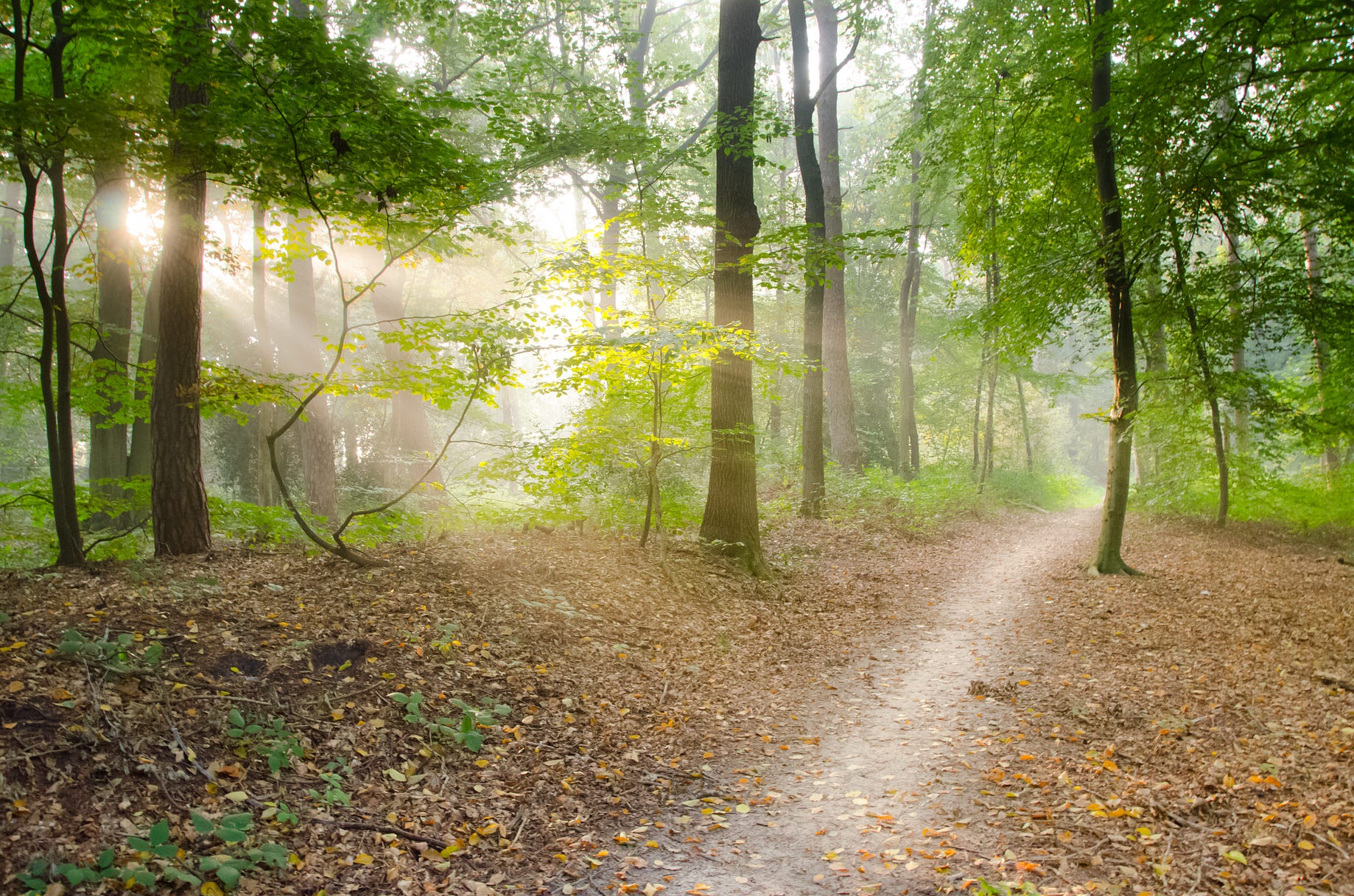 How To Meet The Present Moment This Present Moment Is Going To Pass By Nick Redmark Cum Grano Salis Medium How To Meet The Present Moment This Present Moment Is Going To Pass By Nick Redmark Cum Grano Salis Medium