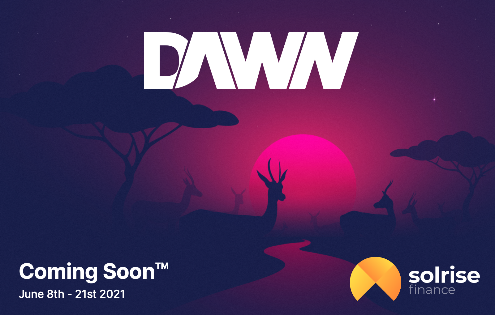 DAWN 2 Phase 1 — details. Thanks for been a | by Matthew Martin | Solrise Finance