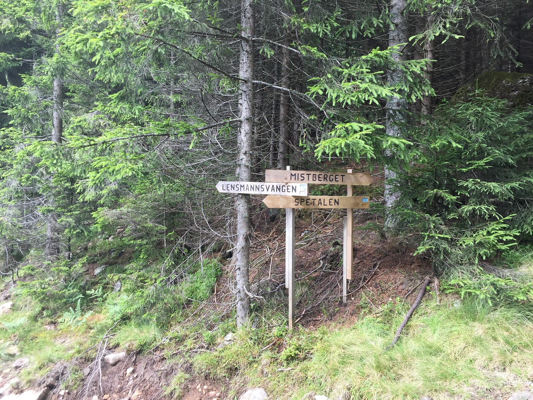 25 av de mest morsomme novomatic casino  ordspill du kan finne 10 grunner til at det ikke er nok å ha et utmerket novomatic casino