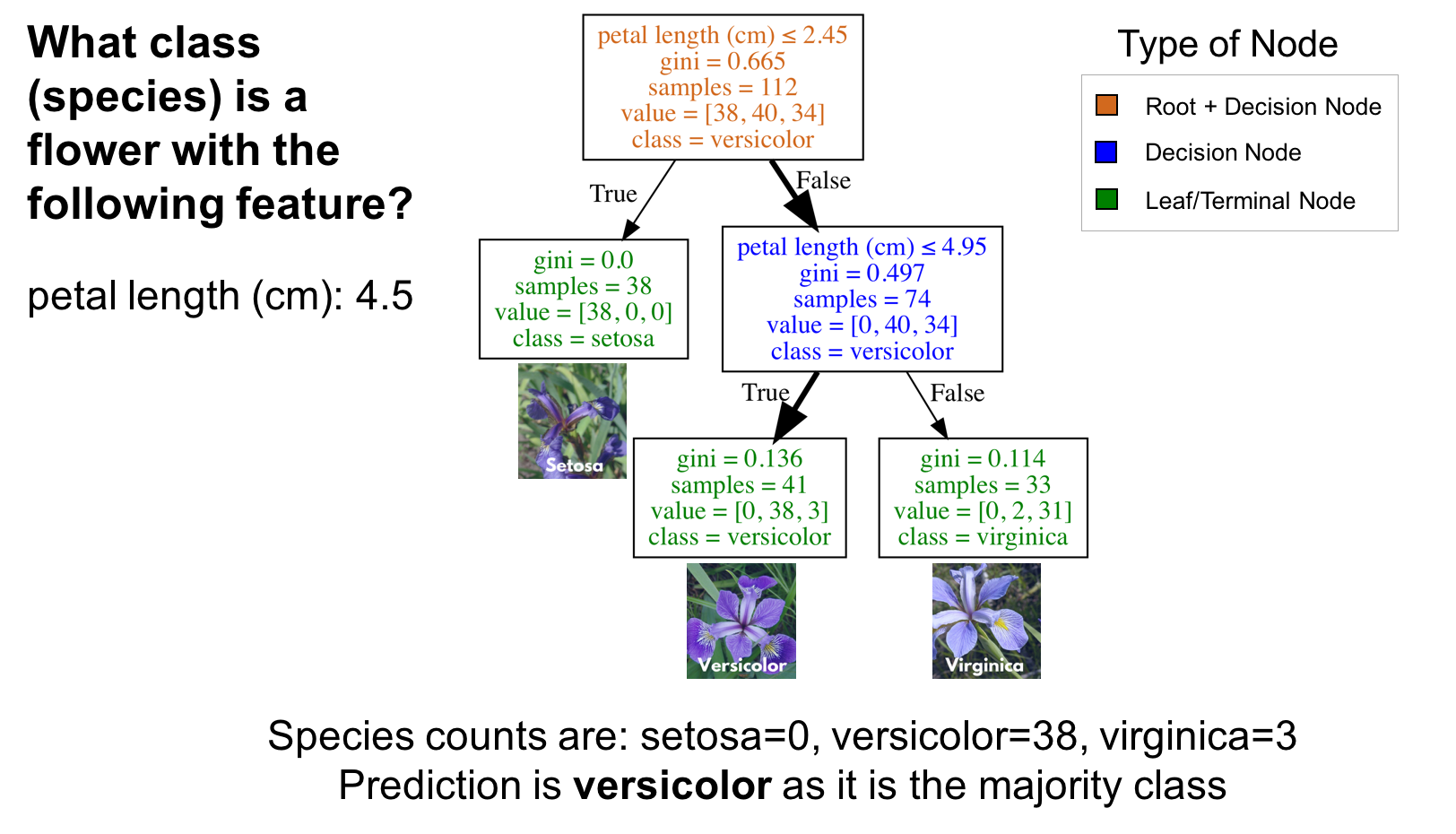 Visualizing Decision Trees With Python Scikit Learn Graphviz Matplotlib By Michael Galarnyk Towards Data Science