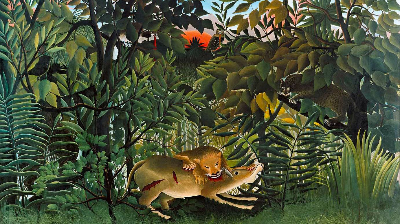 Is There Really A Jungle Out There By R Philip Bouchard The Philipendium Medium