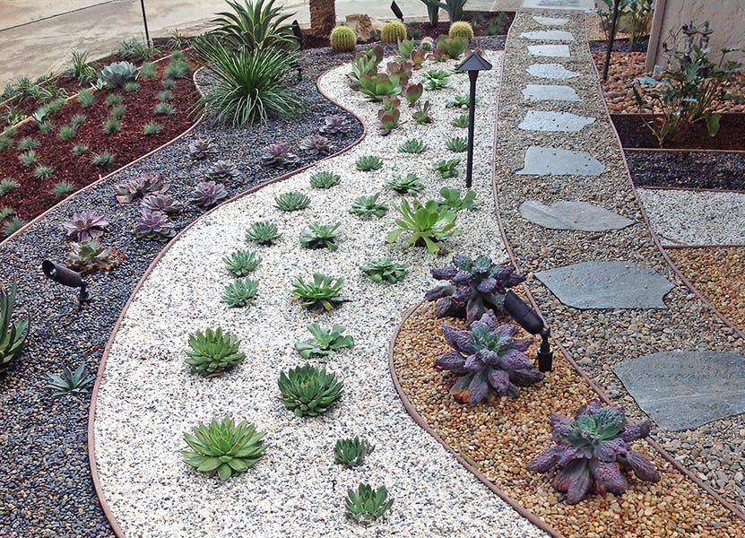 Drought Tolerant Landscape Design In La By Flores Artscape Medium Drought Tolerant Landscape Design In La By Flores Artscape Medium