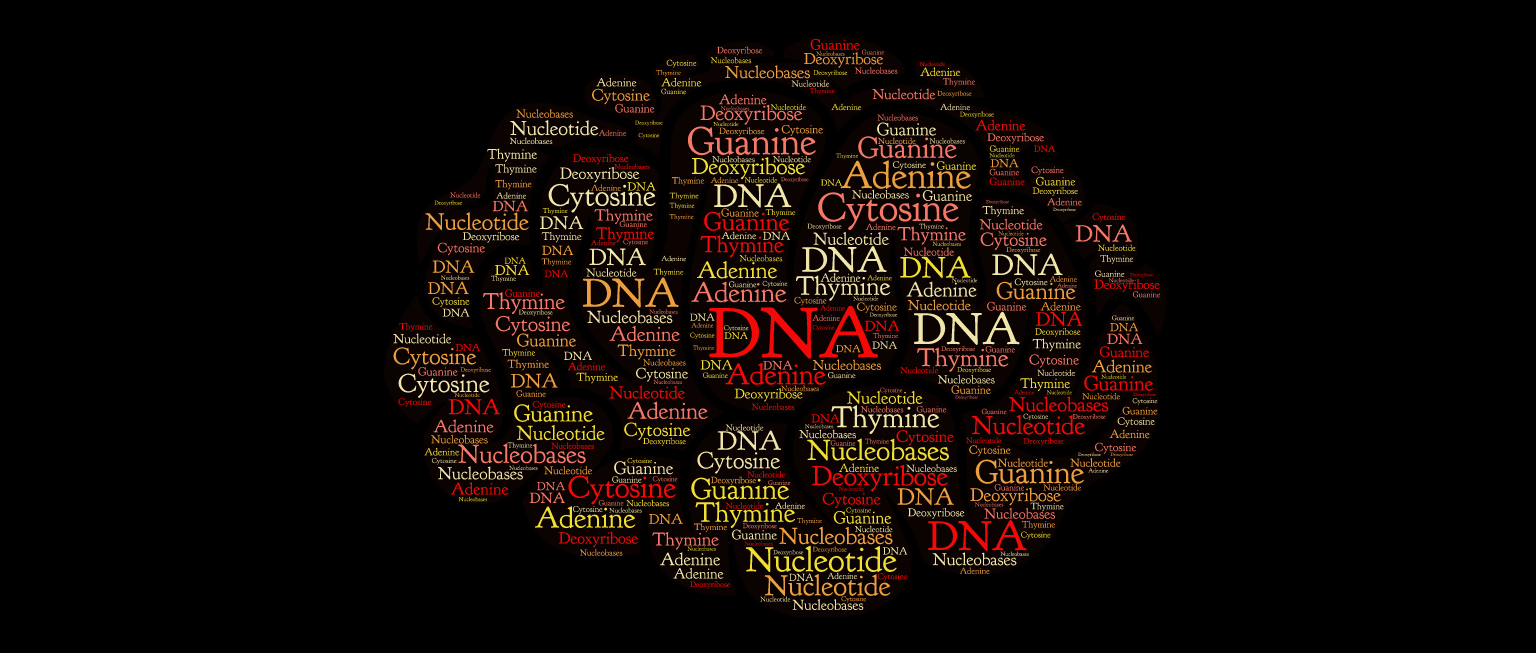 towards data science