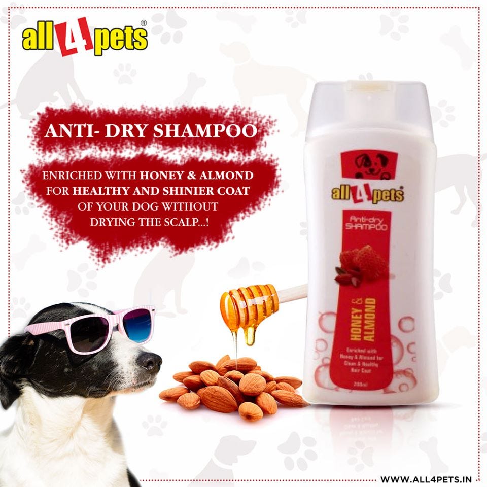 best online dog store