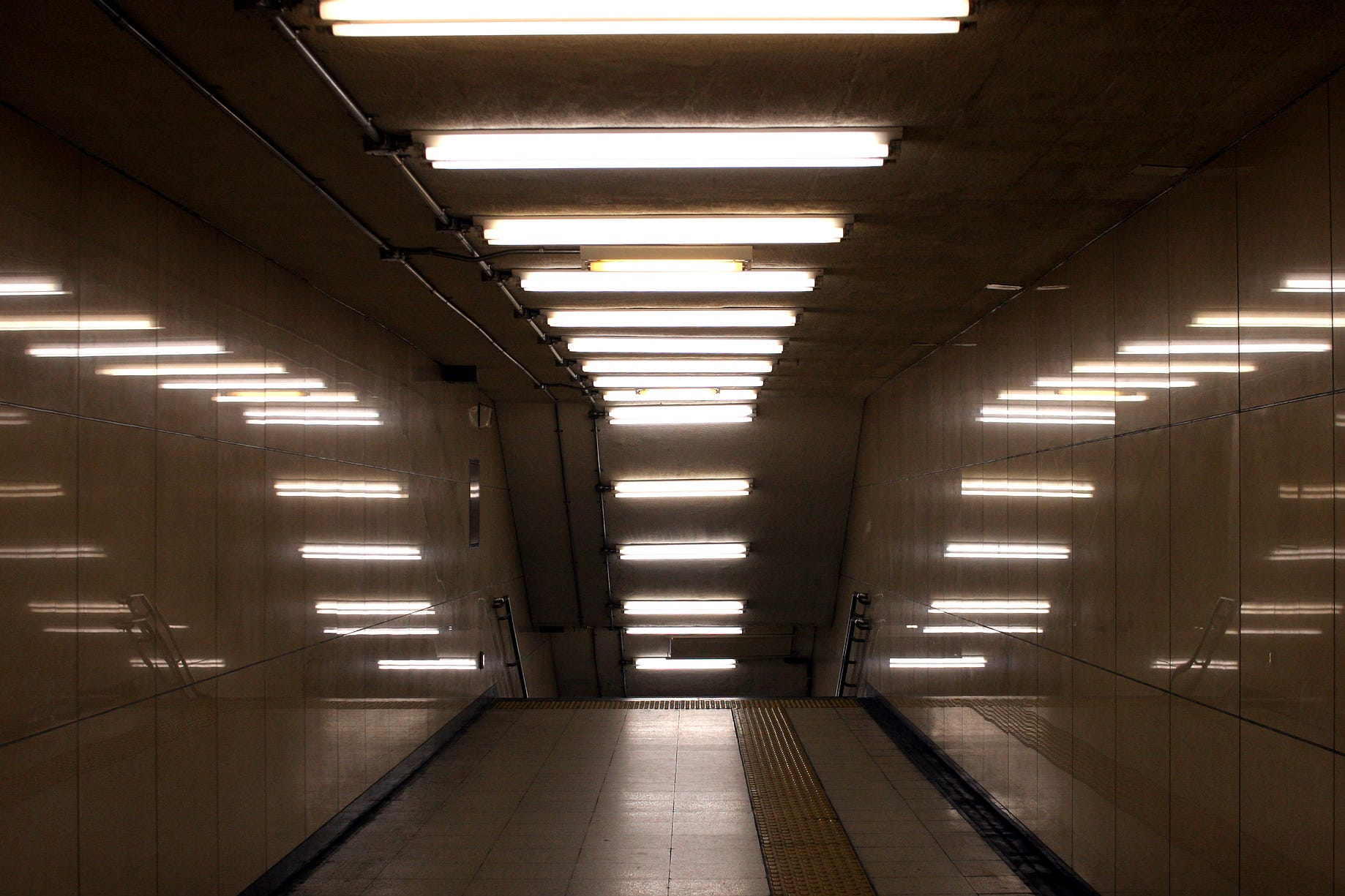 5 Different Types Of Light Bulbs The Light Bulbs Have Been Illuminating By Eileen Garcia Medium
