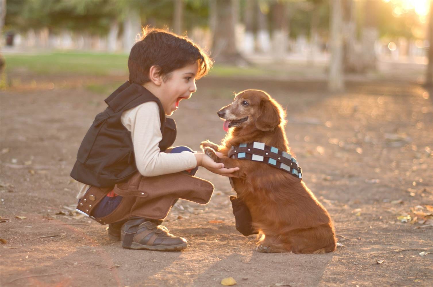 7 Tips para la comunicación humano-perro | by HAPPY CAN CAMP | Medium