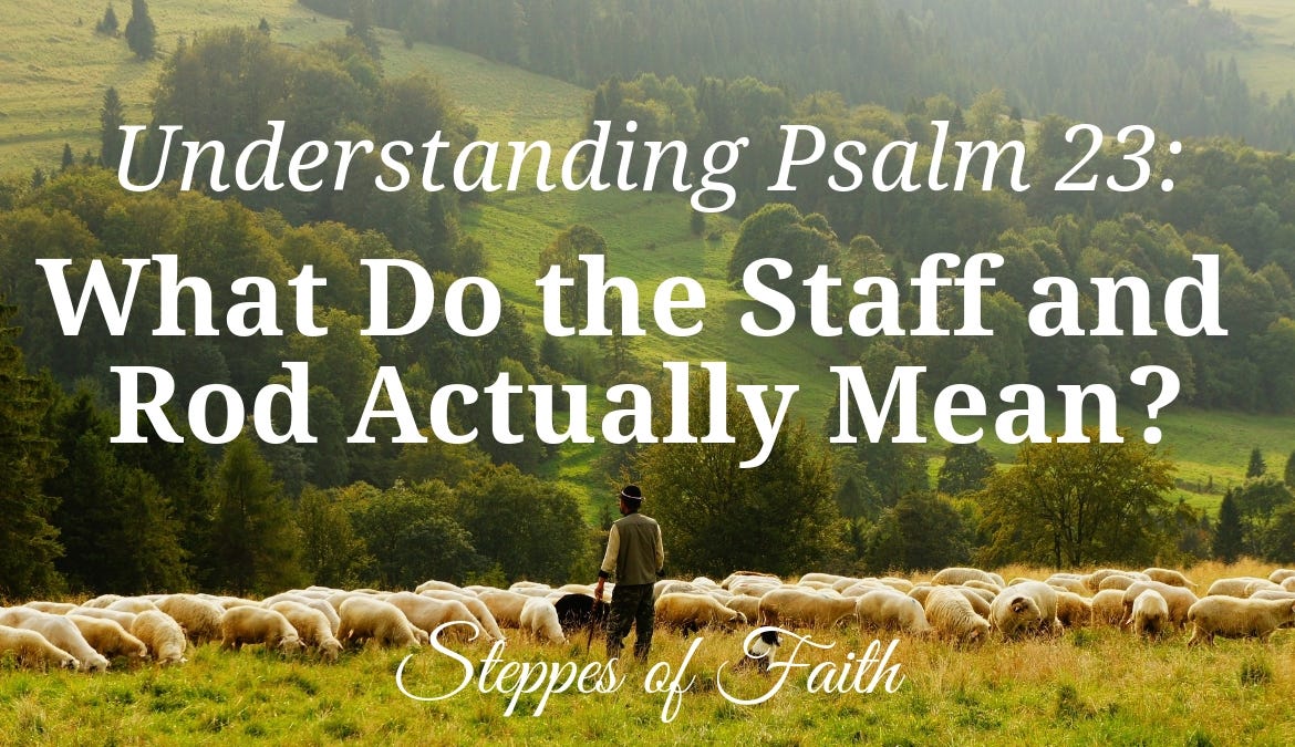 Understanding Psalm 23 What God Meant By Green Pastures And Still Waters By Steppes Of Faith Medium