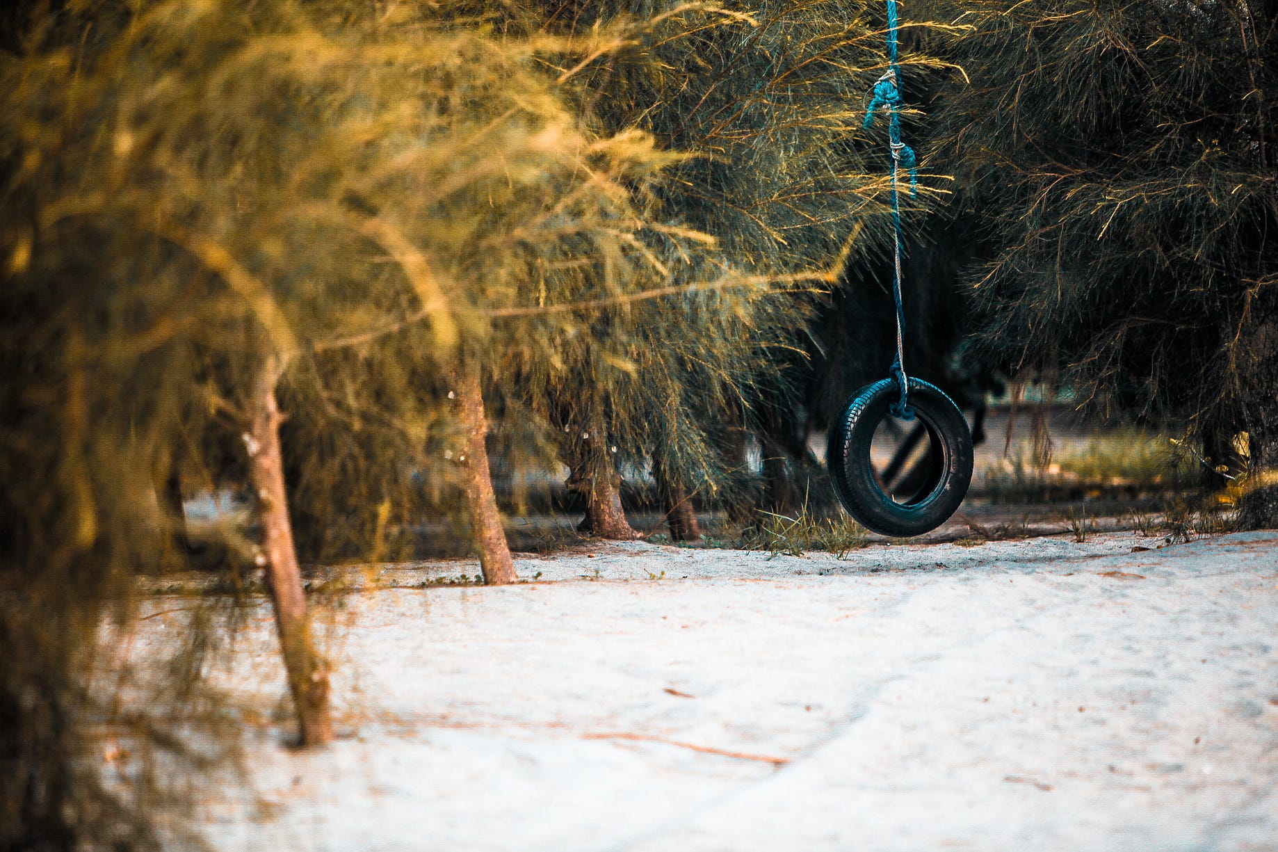 How To Build A Tire Swing The Bizarrium Medium