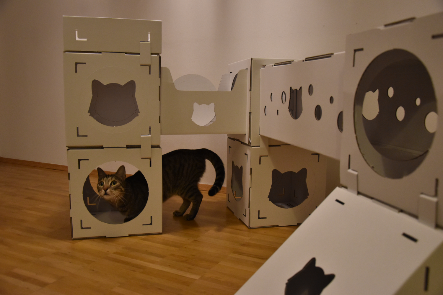 cardboard box cat tree