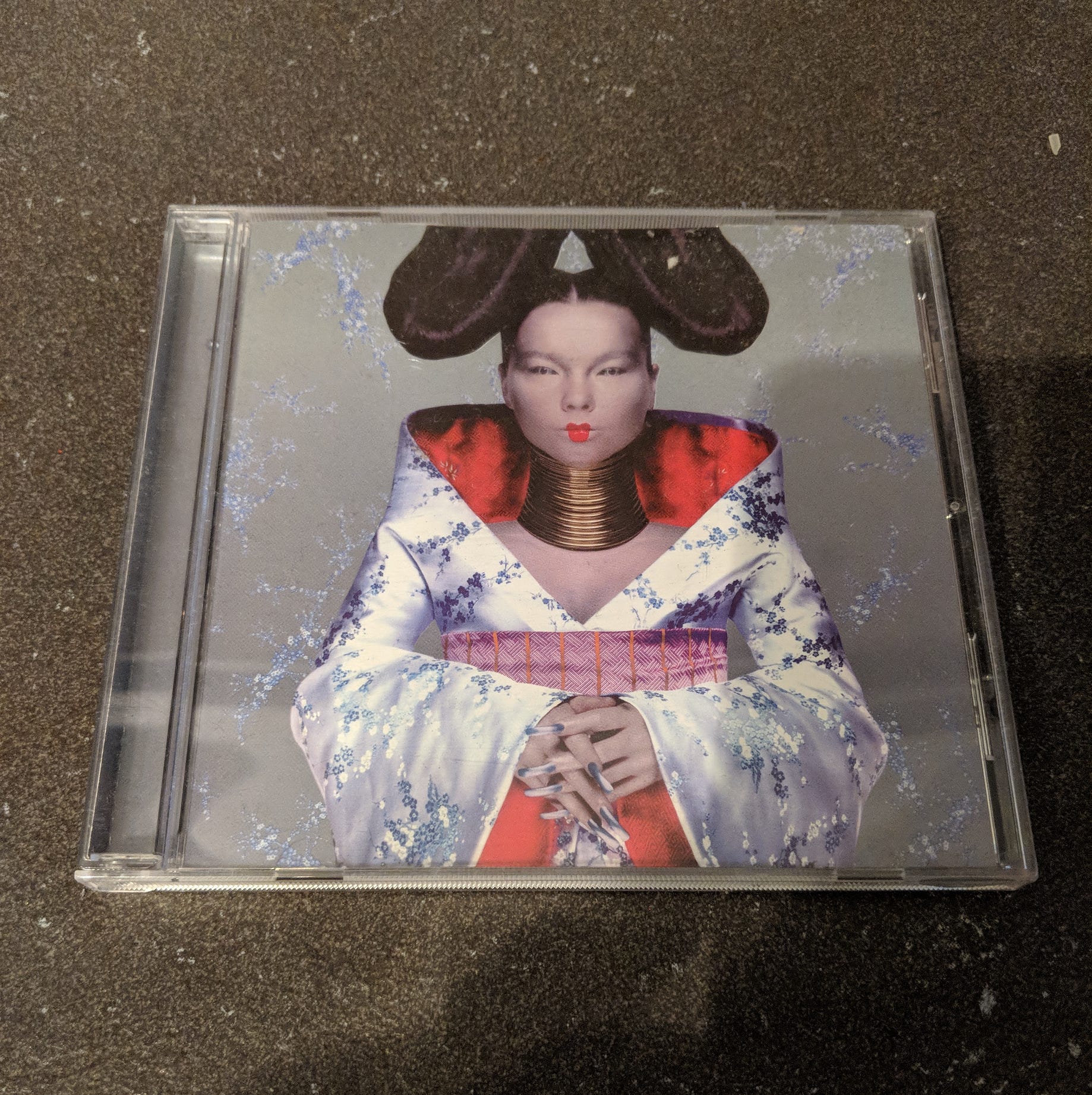 Resultado de imagen para bjork homogenic