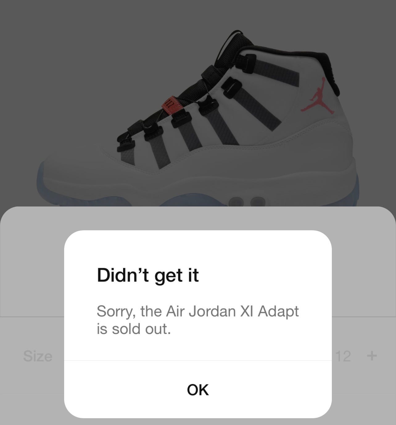 snkrs app on computer