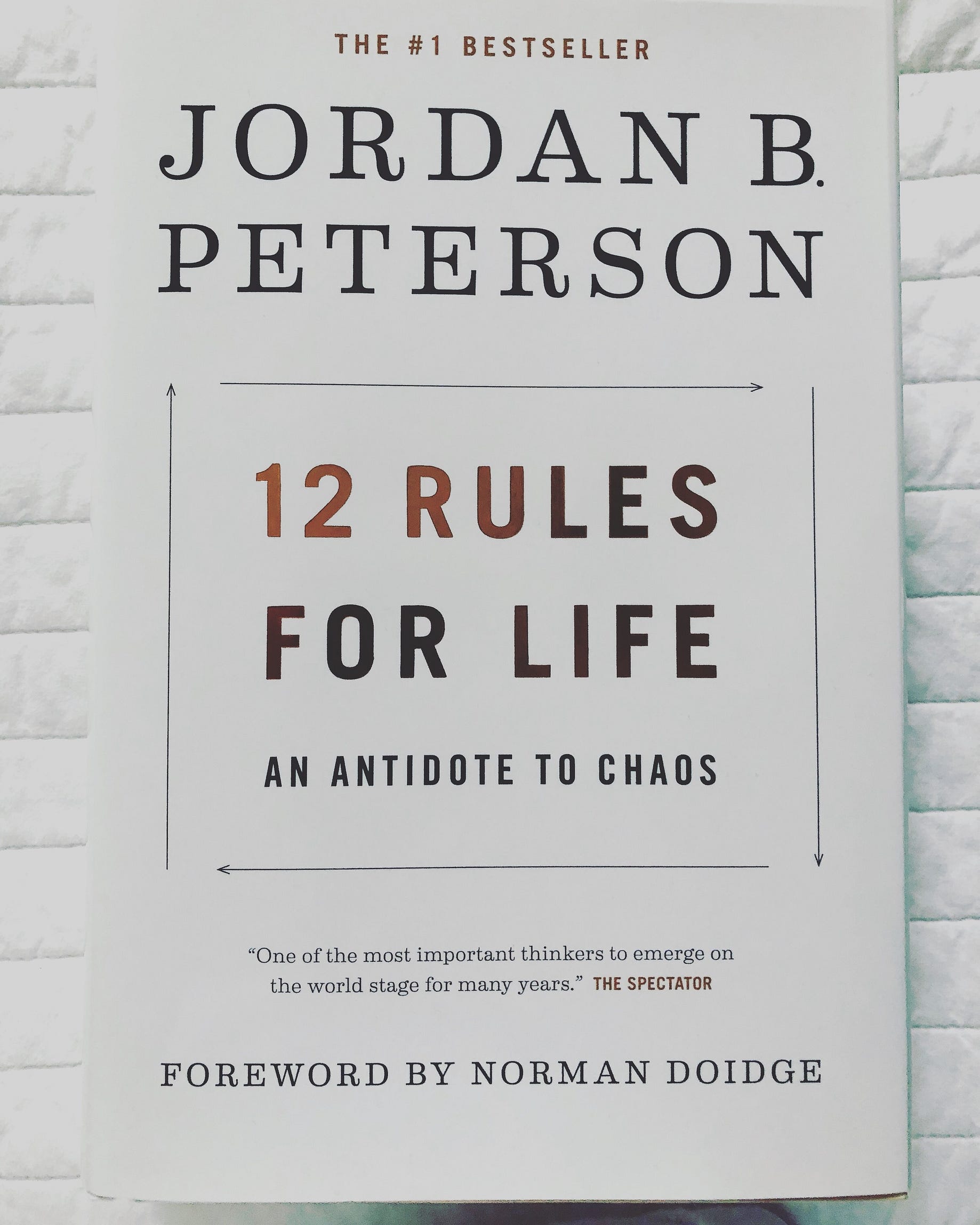gå ind marxisme salami Book review: 12 Rules for the life of Prof. Jordan B Peterson. | by CESAR  DAVID RINCON GODOY | Medium