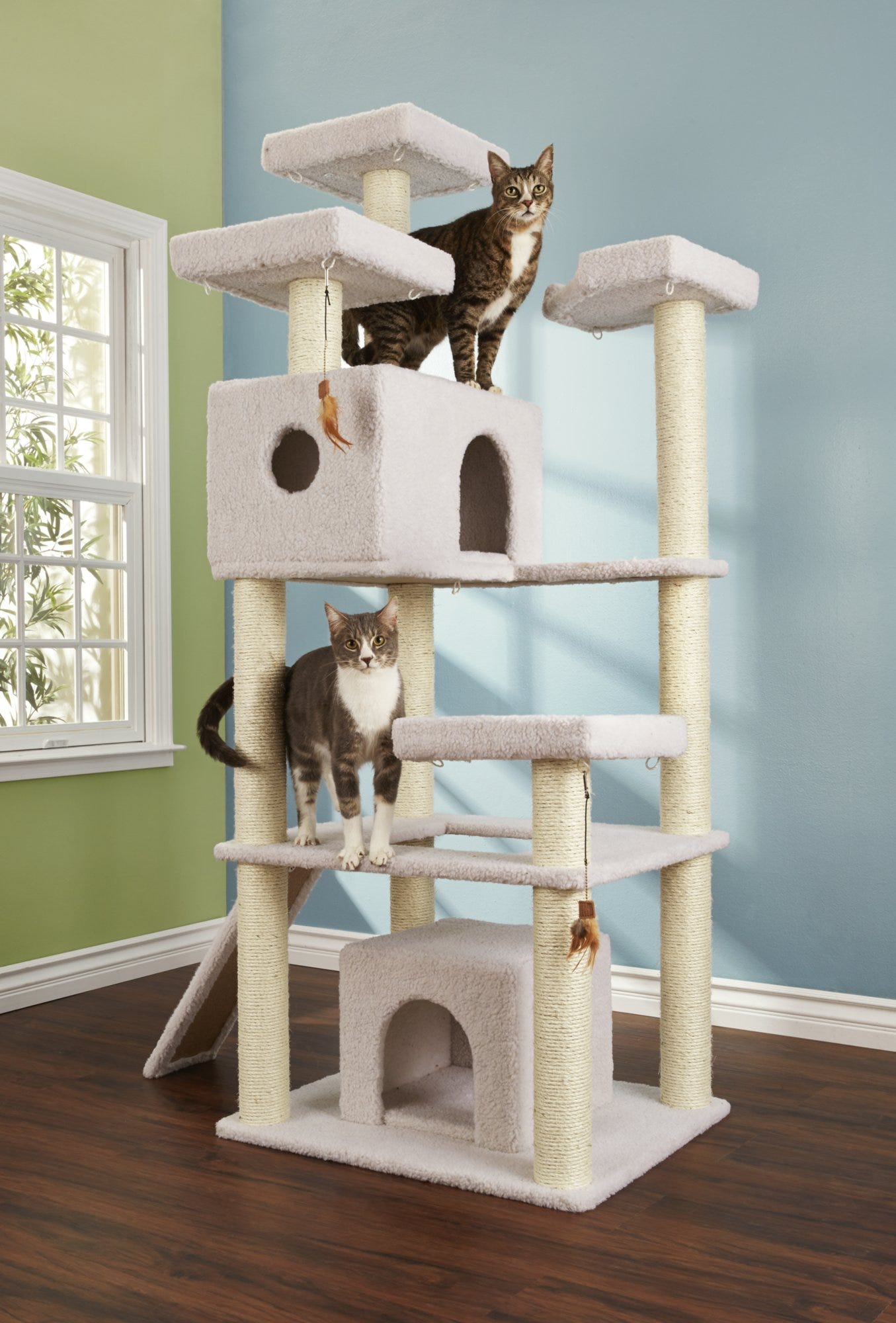 cat attract petsmart