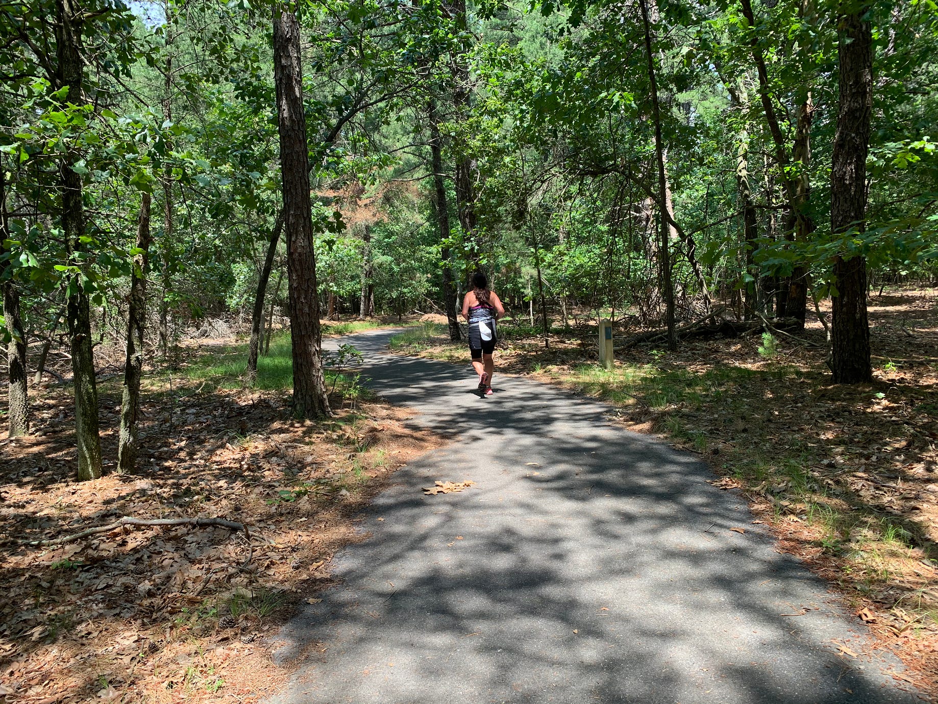 Miriam Diaz Gilbert Medium