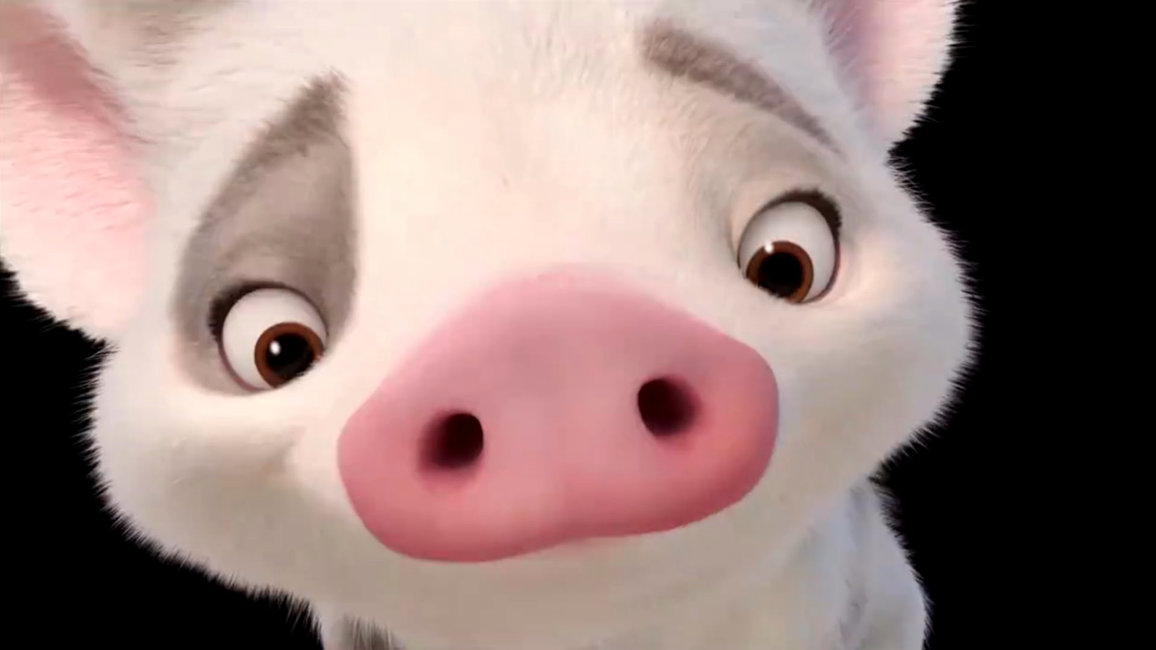 Why The Pig In Moana Stayed Behind 9 Conspiracy Theories By Daniel L Cinenation Medium