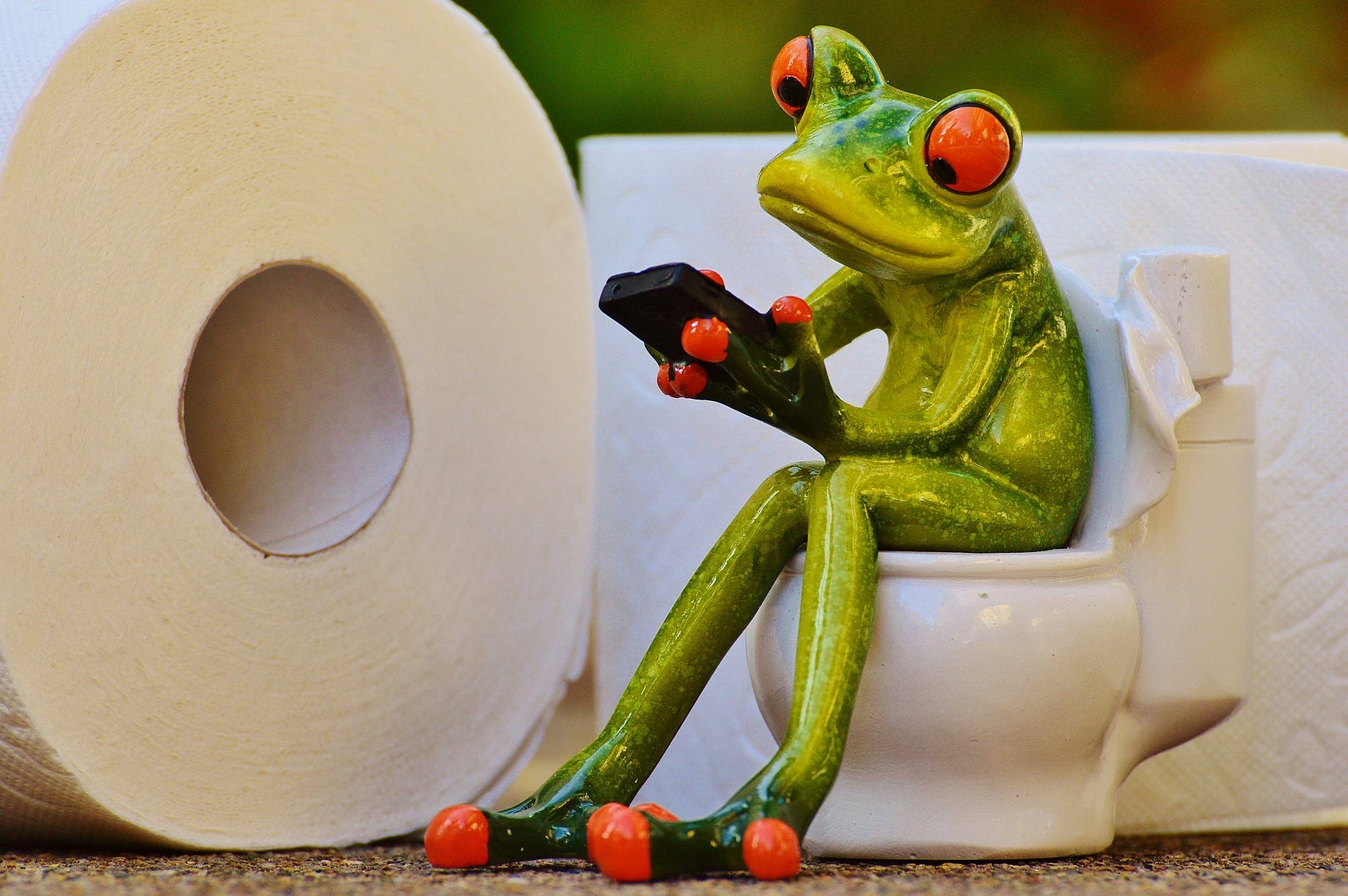 Practical Ways To Use Your Toilet Paper Stash To Survive An Apocalypse By Sandi Parsons Muddyum Jun 2021 Medium