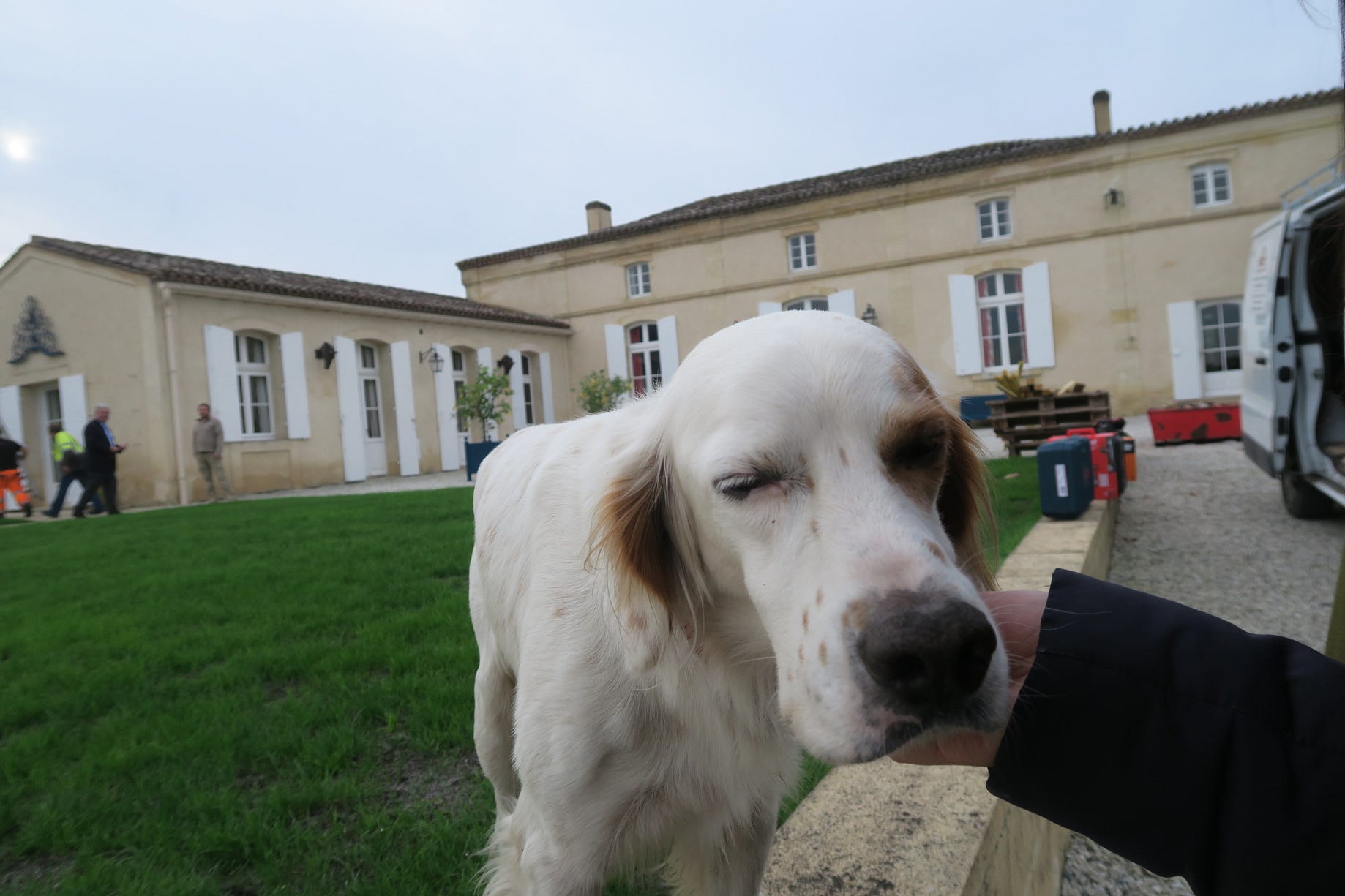 法國甜點文化介紹 國王派 Galette Des Rois 怎麼搭配酒 主顯節的甜蜜傳統 達芙的葡萄酒筆記 Medium