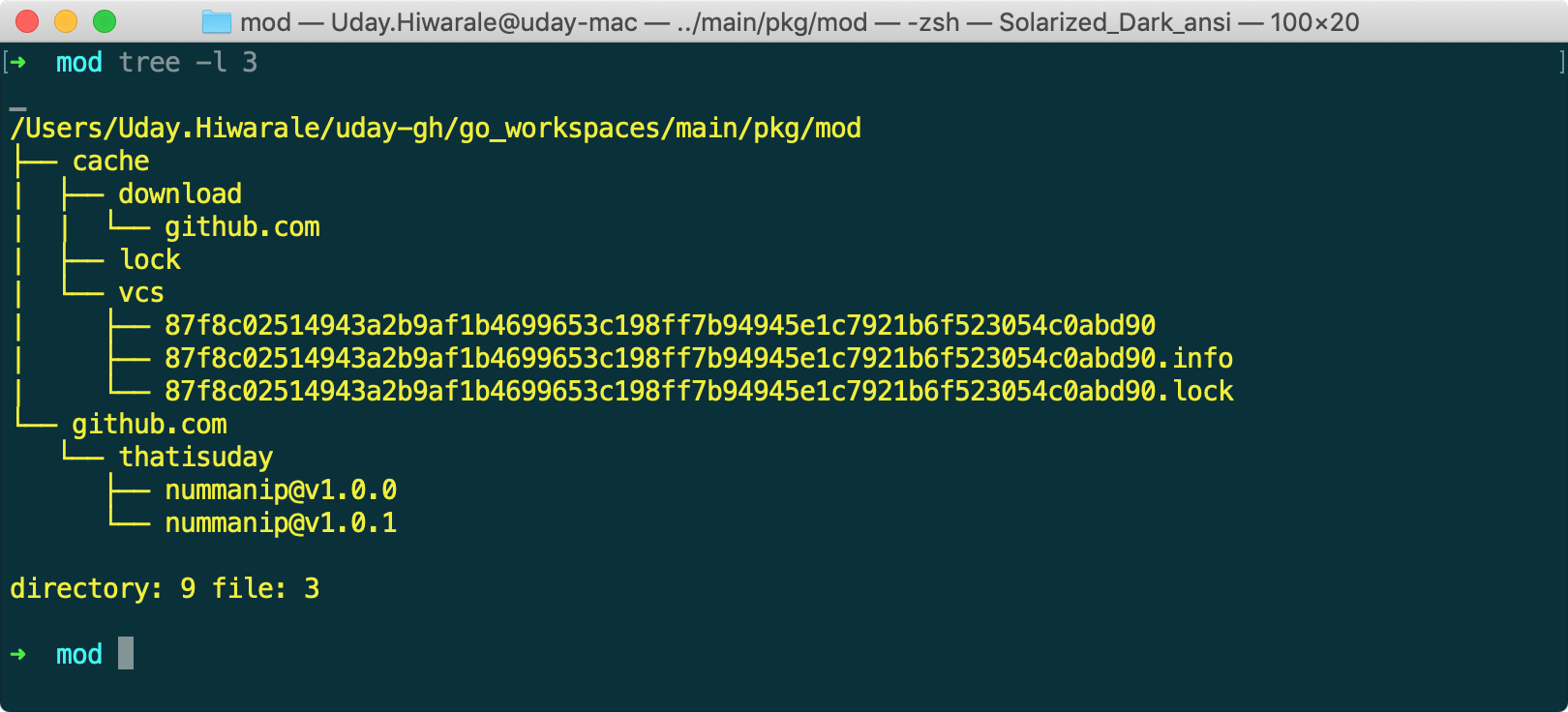 Anatomy Of Modules In Go Modules Are A New Way To Manage By Uday Hiwarale Rungo Medium