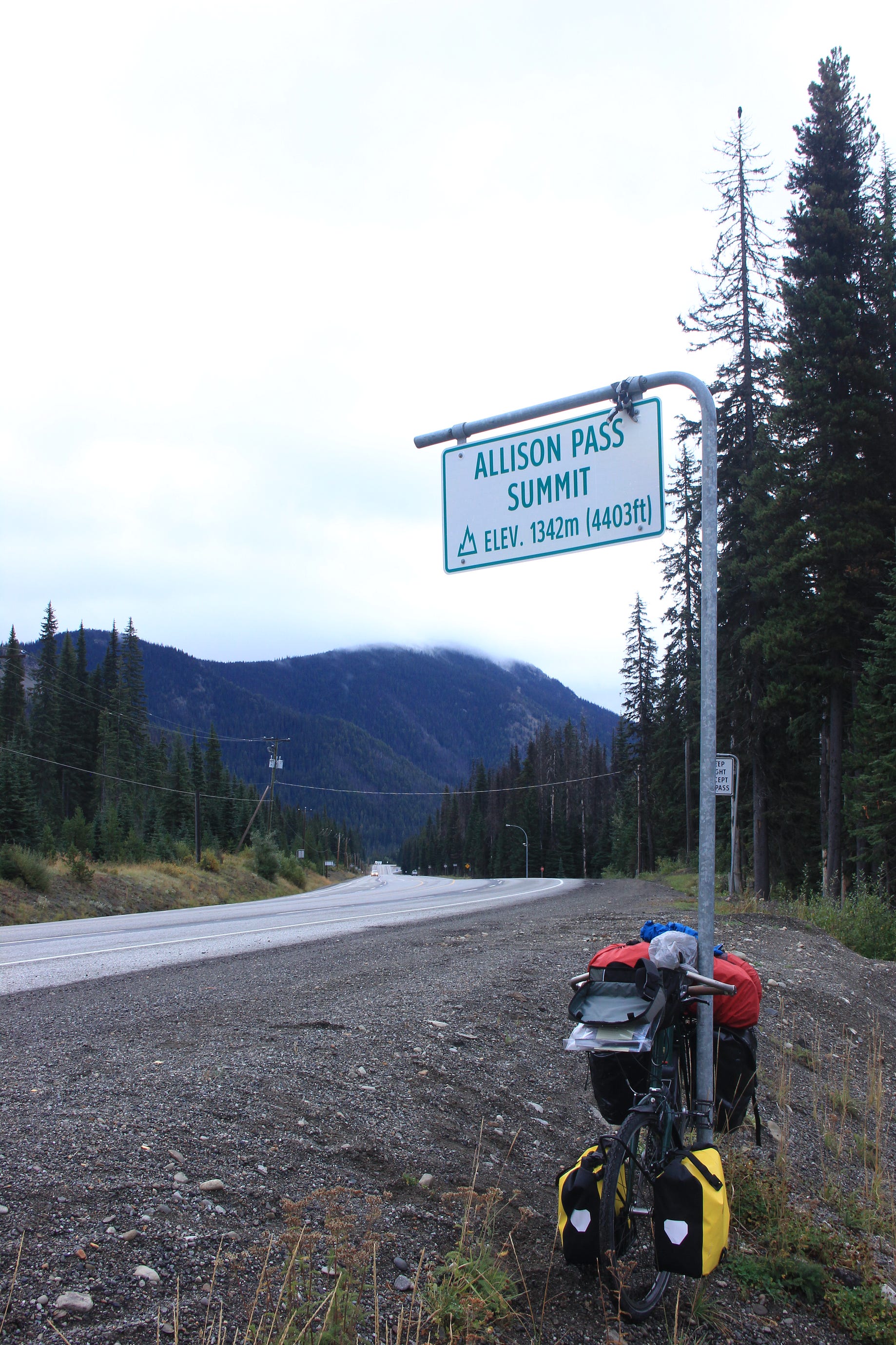 Allison Pass's Instagram, Twitter & Facebook on IDCrawl