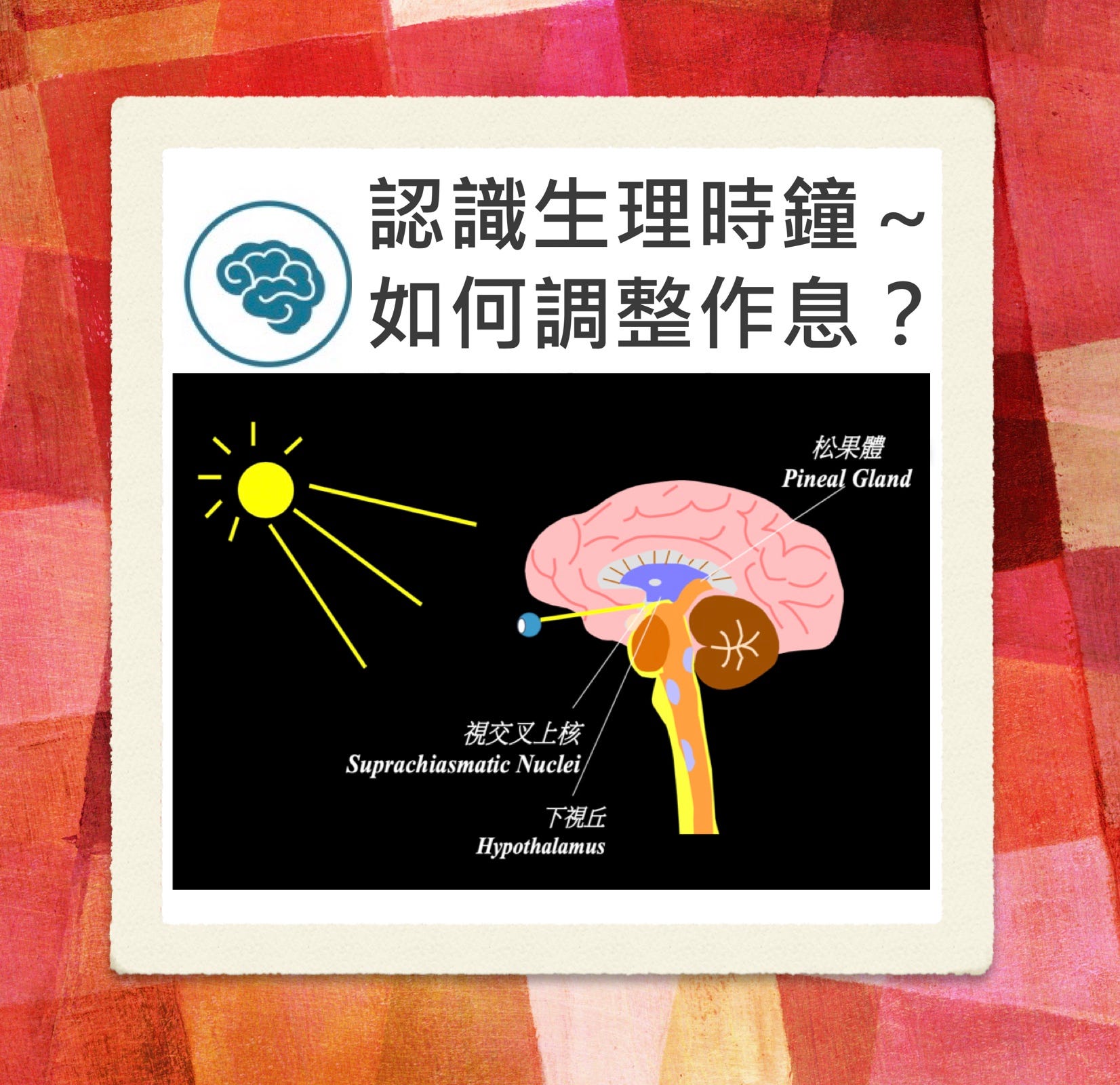 睡眠活動腕錶什麼準什麼不準 自從我大約6年前開始做睡眠起 大家最愛問我 某某手錶或app測睡眠準嗎 By 小睡熊睡眠科普 Medium 睡眠活動腕錶什麼準什麼不準 自從我大約6年前開始做睡眠起 大家最愛問我 某某手錶或app測睡眠準嗎 By 小睡熊睡眠科普 Medium