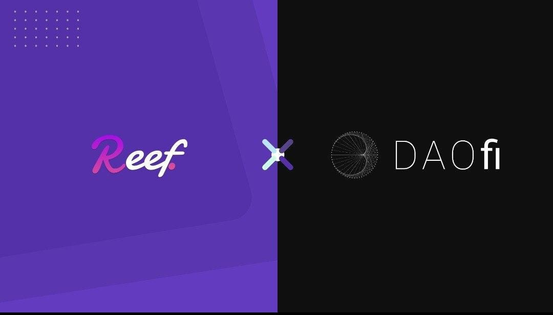 Reef Finance November 2020 Review By Reef Medium