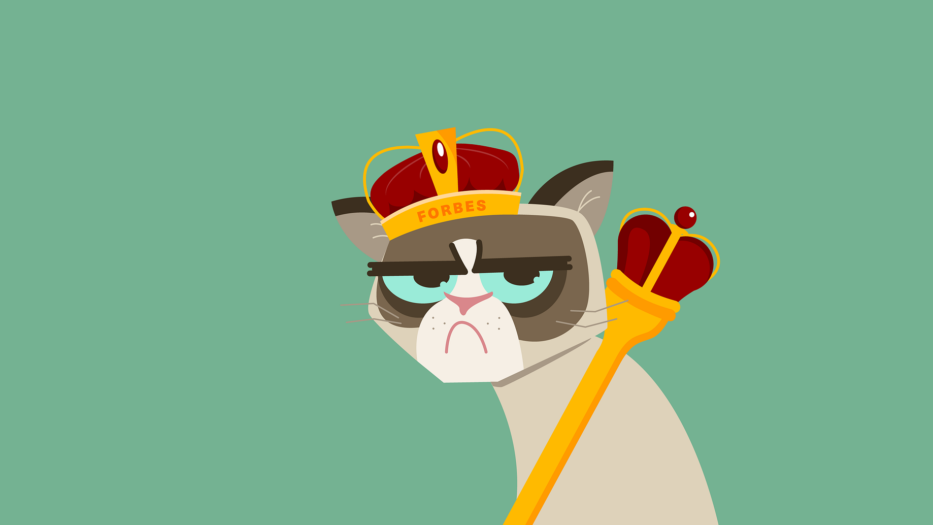 grumpy cat stress ball