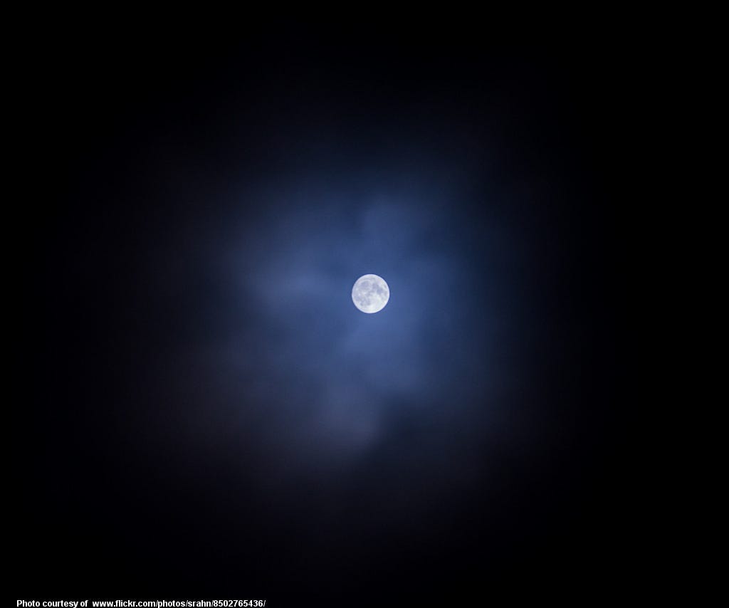 Masculine Signs Feminine Signs It Has Nothing To Do With Sex By Rebecca Brents Medium