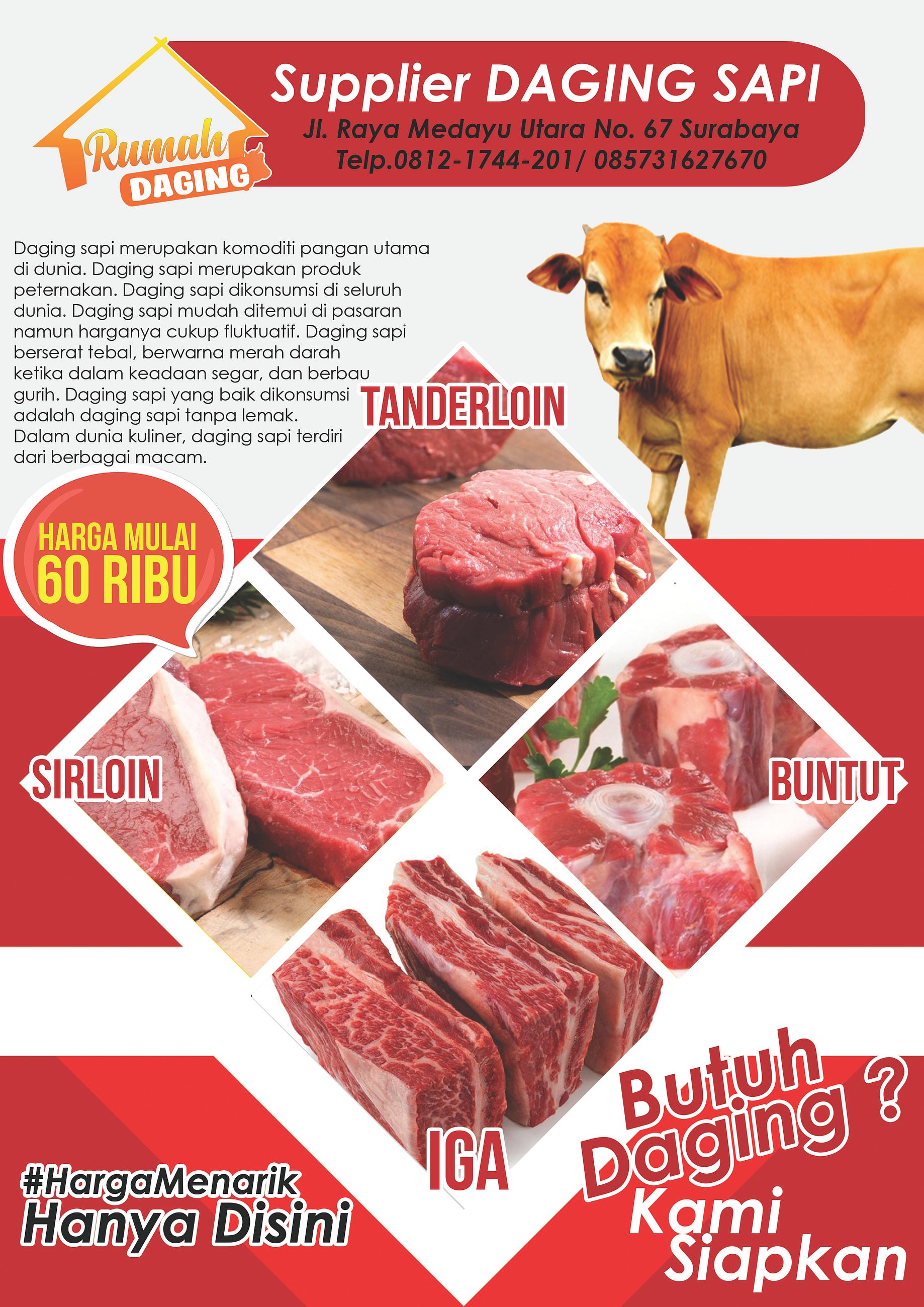 Distributor Daging Sapi 0851 0072 8036 Medium