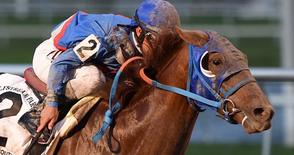 How To Place A Wheel Bet The Wheel In Horse Race Betting By Horse Racing Tips Medium