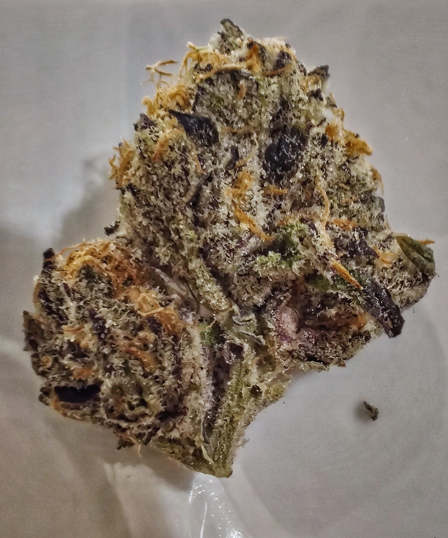 Peanut Butter - Marijuana Clones - Cannabis Plants - Marijuana Seeds