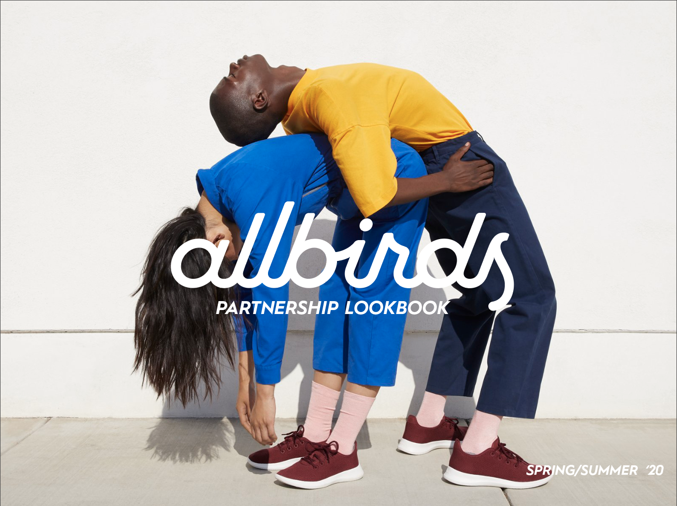 allbirds design