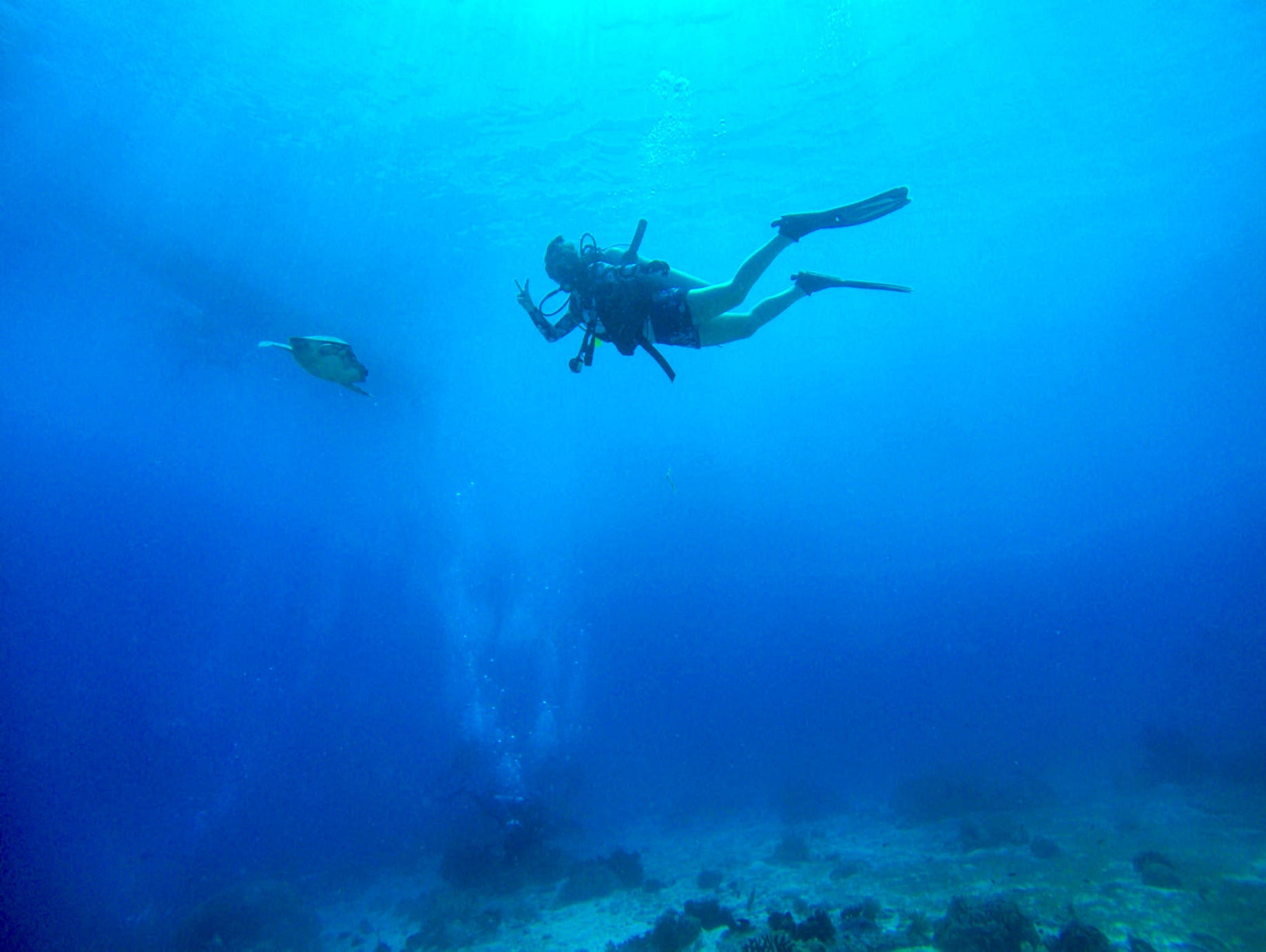 A E In Bohol 薄荷島潛水02 16 09 16 Amber Eddie 1st Diving By Amber Yu Medium