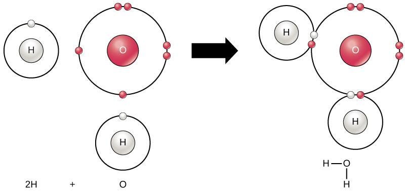 生物学 第2版 第2章 生命の化学的な基盤 Japanese Translation Of Biology 2e By Better Late Than Never Medium 生物学 第2版 第2章 生命の化学的な基盤 Japanese Translation Of Biology 2e By Better Late Than Never Medium