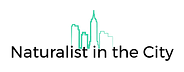 Naturalist in the City