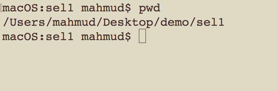 Chromedriver.exe