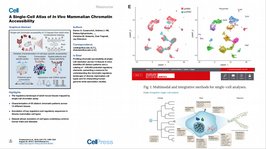 deep learning biology