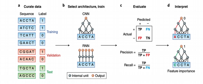 towards data science