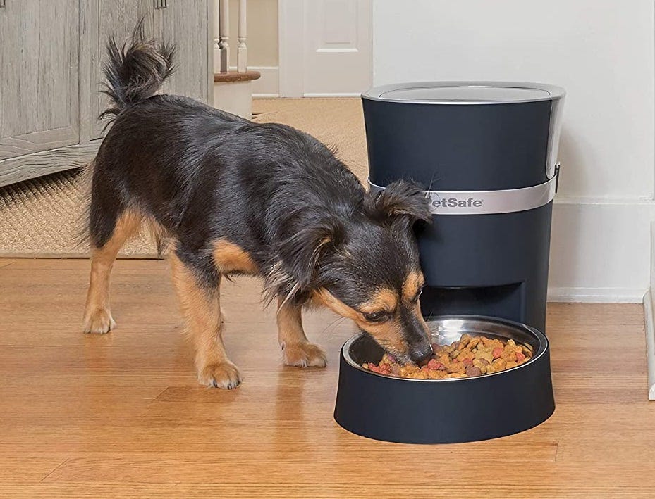 remote dog treat feeder