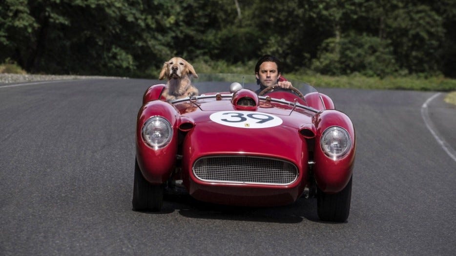 Movie Full The Art of Racing in the Rain (2019) Stream 