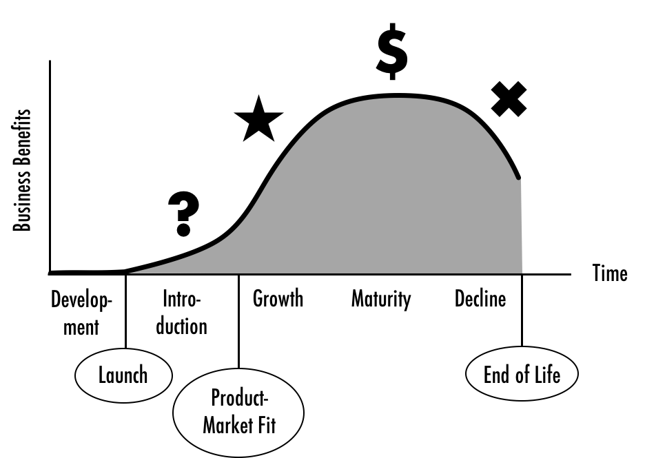 Image result for BCG matrix lifecycle